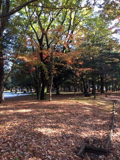 2016-11-25-13-37-49