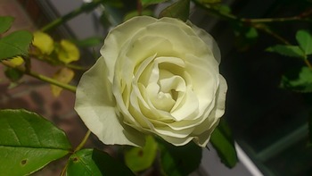 0771afe7.jpg