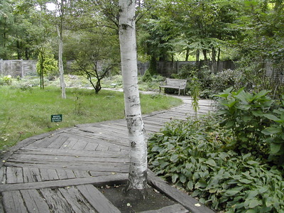 DSCN1440