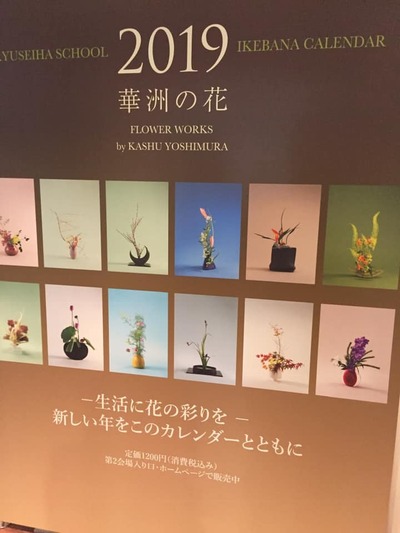 45124890_1740950582683503_9086902186918543360_n