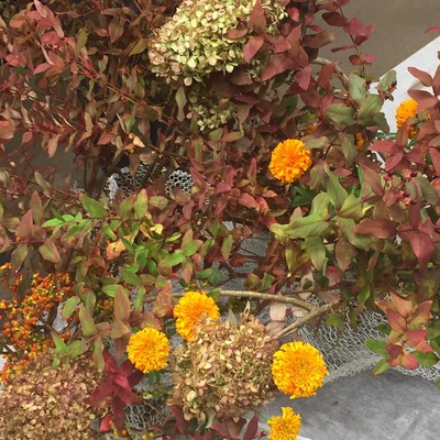 45182188_1740950062683555_1077915153527209984_n