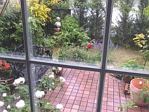 Image888