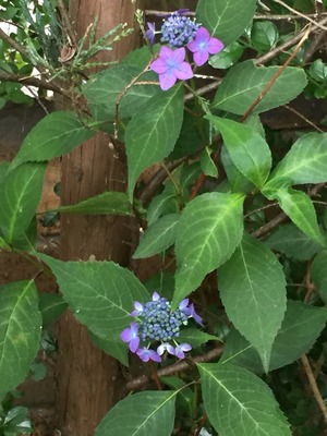 2016-05-24-16-37-23