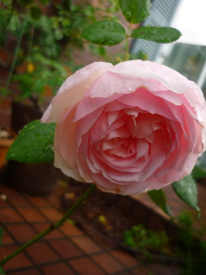 P1240048