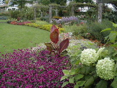 DSCN1429