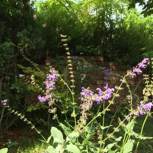 2015-05-14-08-52-38