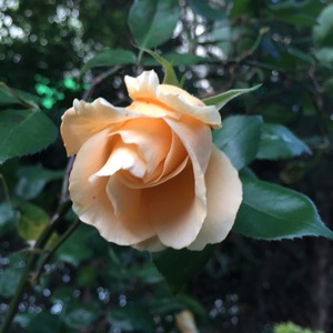 2015-05-06-05-03-20