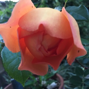 2015-05-06-05-02-52