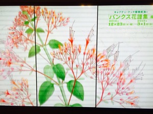2015-01-12-16-02-45
