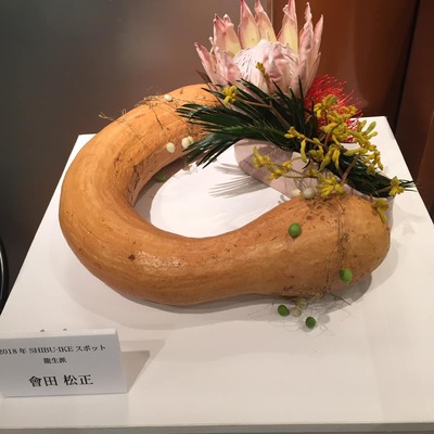 45294729_1740950762683485_149480061790060544_n