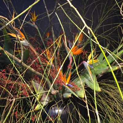 45132902_1740950512683510_2473716478902272000_n