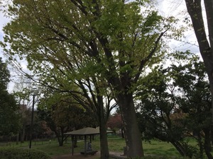 2015-04-11-14-38-18