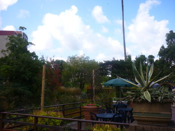P1200809