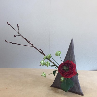 27867389_1431407093637855_2258052361384587398_n