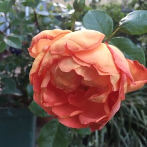 2015-05-06-05-02-45