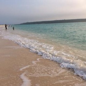 12938085_852206778224559_5937082616071520577_n