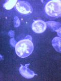 06-04-01_08-56