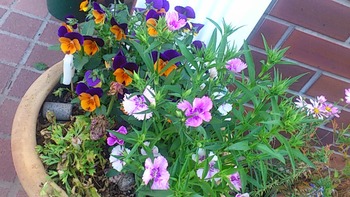 53b484c3.jpg