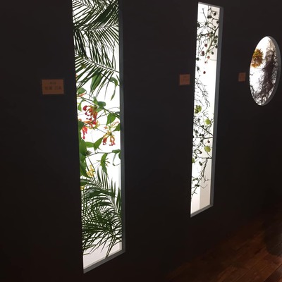 45206647_1740950376016857_4881102294633938944_n