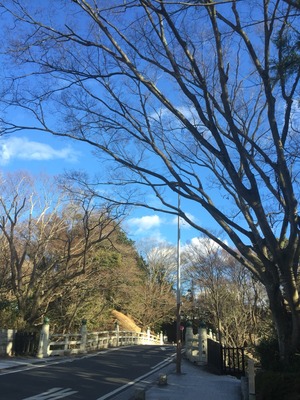 2016-01-20-15-20-23