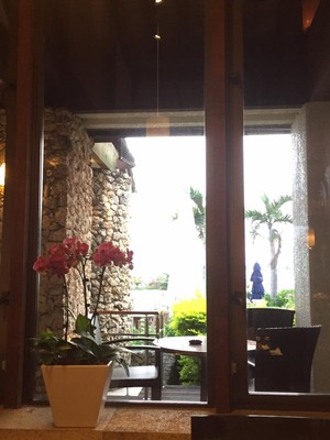 12938325_852206288224608_4723902900548879570_n