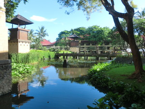 CIMG0567