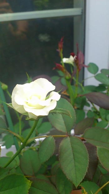 61c4aa59.jpg