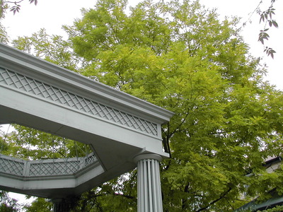 DSCN1412