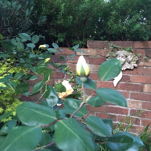 2015-05-06-05-03-30