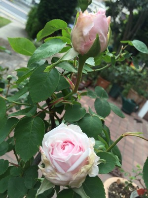 2015-04-24-15-38-14