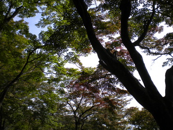 DSCN0859