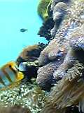 06-04-01_09-08