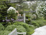 DSCN3032