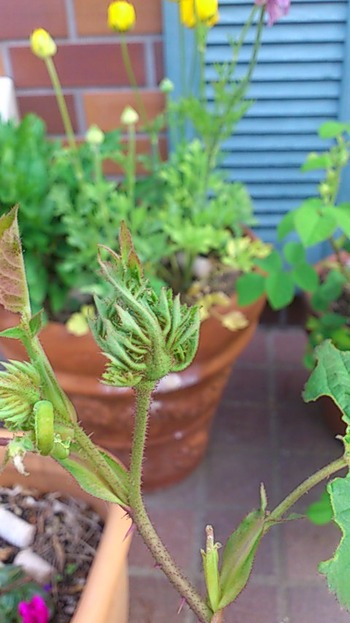 9071d05c.jpg