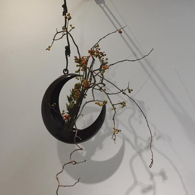 45163644_1740950149350213_1061494101985198080_n