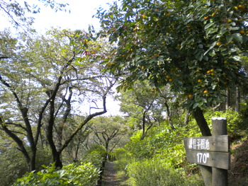 DSCN0852