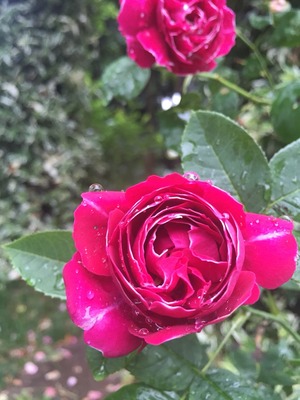 2015-05-19-07-44-46