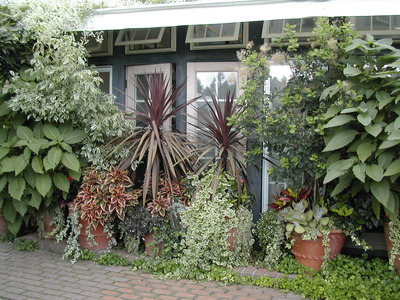 DSCN1452