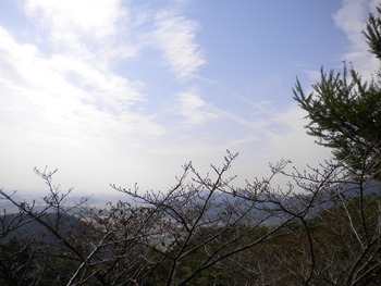 DSCN0853
