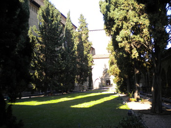 DSCN0099