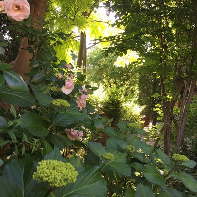 60955933_2030650997046792_7042567216528621568_n