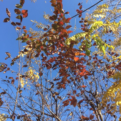 2017-12-07-13-25-05