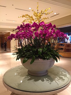 12193705_768528639925707_594741929937944392_n