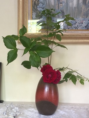 2015-05-08-09-02-38