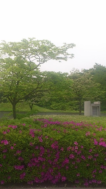 b92e844d.jpg