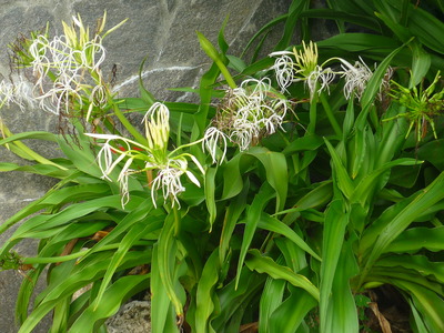 P1250588