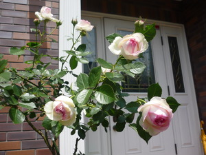 P1420940