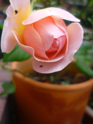 P1240114