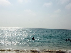 12932689_852209678224269_2474333817824530438_n