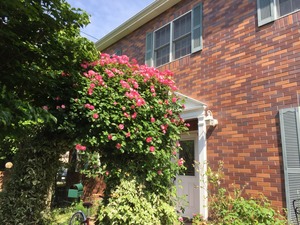 2015-05-14-08-53-40